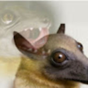 Meet your Posher, Creatureofthefortnite